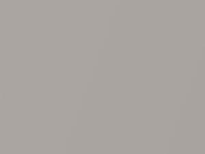 Toyota All Models Warm Gray Pearl 1995 1A5