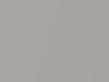 Toyota All Models Warm Gray Pearl 1995 1A5