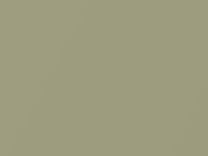 Scion All Models Olive Mist Metallic 2006 6U4