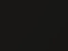 Porsche 911 GT3 Basalt Black Pearl 2004 738, 744