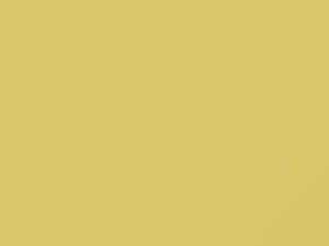 Toyota All Models Light Yellow 2004 597