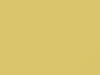 Toyota All Models Light Yellow 2004 597