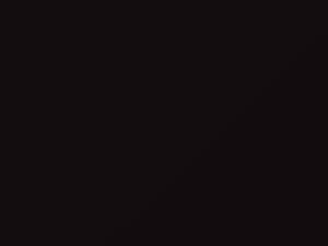 Austin Rover All Models Black Tulip 1972 23 - Scratch Repair