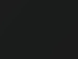 BMW 7 Series Diopsidschwarz Pearl 2007 A37, S44 - Scratch Repair