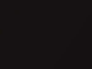 Maybach All Models Columbitschwarz Perleffekt 2011 170, 9170 - Scratch Repair