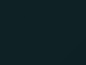 BMW M5 Farngruen Metallic 1997 386