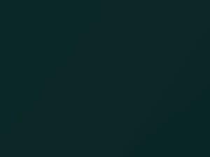 BMW 7 Series Bostongruen Metallic 1997 275 - Scratch Repair