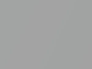 Smart All Models Starlight Silver Metallic 2007 C80L