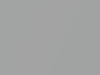 Smart All Models Starlight Silver Metallic 2007 C80L