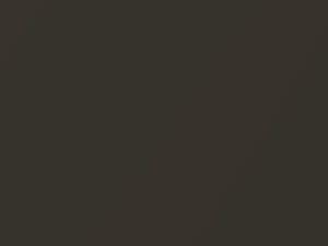 Toyota 4RUNNER Anthracite Metallic 1997 1A1