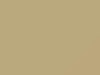 Nissan All Models Light Beige 2020 E34