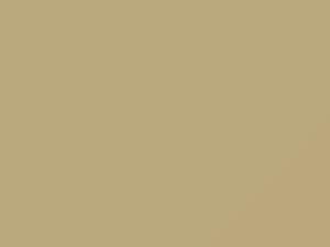 Nissan All Models Light Beige 2017 E34 - Scratch Repair