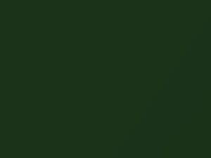 Chevrolet Corvette Fairway Green Metallic 1998 309D, 87, GXN, WA309D - Scratch Repair