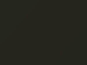 Nissan All Models Khaki 2004 J12 - Scratch Repair