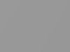 Porsche 911 CARRERA4 Cb Arctic Silver Metallic 2004 92T, 92U, X1