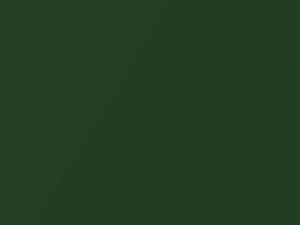 Nissan Sentra Sierra Pine Pearl 1999 DS2 - Scratch Repair