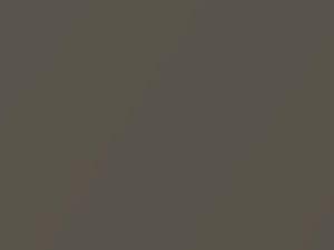 Toyota All Models Light Grayish Metallic 1995 1A2