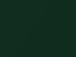 Hyundai Coupe Savannah Green Mica/Savannah Metallic 1997 FS - Scratch Repair