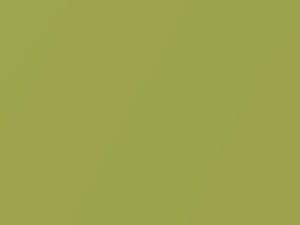 Mercedes-Benz Slk Class Electric Green Metallic 2000 24