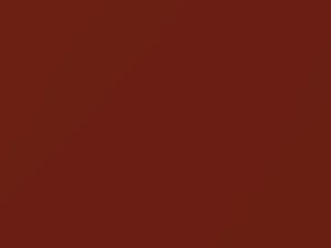 Ford All Models Passion Orange Mica 2010 27Y - Scratch Repair