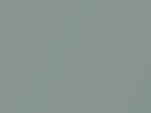 Daihatsu All Models Greenish Silver Metallic/Greenish Silver Opal Metallic 2004 S29