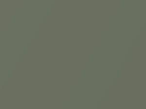 Audi Q7 Sycamore Green Metallic 2006 LX6Y, X6Y