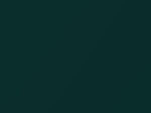 Dodge All Models Timberline Green Pearl 2004 PGW - Scratch Repair