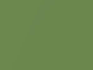 Nissan All Models Sea Grass Green Metallic 2002 J13