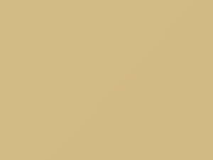 Mercedes-Benz C Class Hellelfenbein 1991 1623, 623 - Scratch Repair