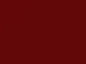 Fiat All Models Rosso Speed 2019 168