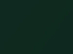 Mitsubishi All Models Liege Green Pearl 1998 AC11219, G19 - Scratch Repair