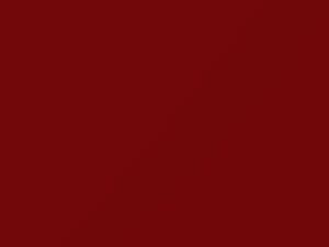 Toyota All Models Red 2004 R40