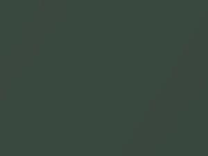 Hyundai Coupe Elm Green Metallic 2001 NR - Scratch Repair