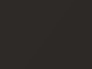 Honda All Models Nutwood Brown Pearl 1999 YR517P - Scratch Repair