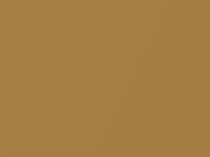Subaru All Models Light Brown Metallic 1999 87F