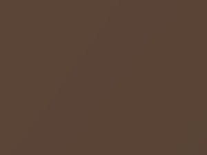 BMW Z8 Impalabraun Metallic 1998 418