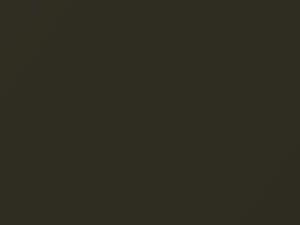 Nissan All Models Golden Olive Pearl 1999 JS0