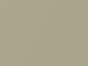 Subaru All Models Champagne Gold Pearl 2000 93H
