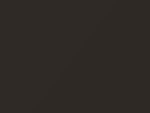 Kia All Models Smokey Brown Metallic 2007 6D