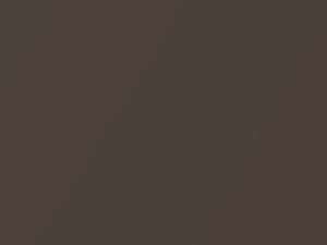 Chrysler All Models Woodland Brown Metallic 2011 AY103YUB, PUB
