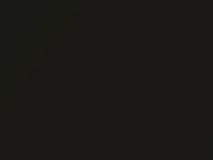 Honda All Models Premium Night Desert Gold 2005 GY26P - Scratch Repair