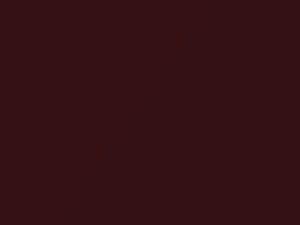 Toyota All Models Dark Red Mica 2003 3Q7