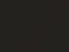 Volkswagen Cc Mocha Brown Pearl 2009 3Q, 3Q3Q, 9937, C8Z, LC8Z