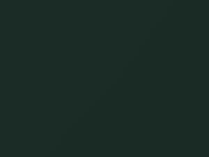 Ford Fiesta Medium Charcoal Green Metallic 2009 581, 7, 78, 79, 8, 80, 88, 89, PH7E - Scratch Repair