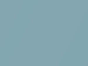 Nissan All Models Light Blue Pearl 2000 TV1