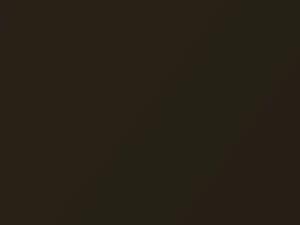 BMW 5 Series Oliv Metallic 2007 469 - Scratch Repair