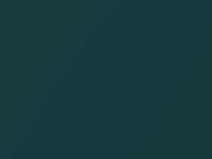 Hyundai Coupe Triton Green Mica 2009 VZ - Scratch Repair