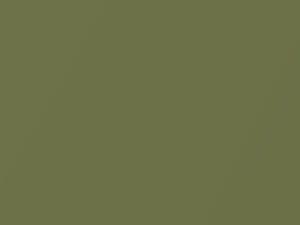 Toyota All Models Light Green Metallic 2006 6U5
