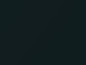 Kia All Models Olive Green Pearl 2003 5C