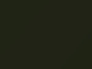 Land Rover Discovery Woodcote Green Metallic 1997 623, HPE - Scratch Repair